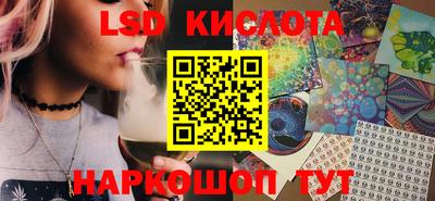 гидропоника Камышлов