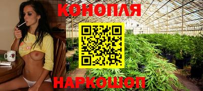 гидропоника Камышлов