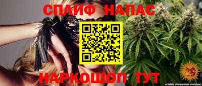 гидропоника Камышлов