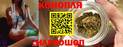 гашик Кандалакша