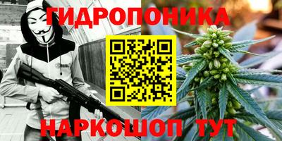 гашик Кандалакша