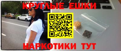 гидропоника Камышлов